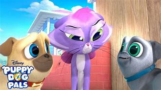 Image result for Puppy Dog Pals Hissy Meow