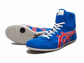 Image result for Asics Russian Wrestling Shoes