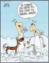 Image result for Funny Dog Cartoons Christian