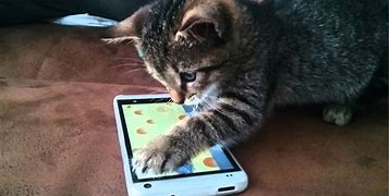 Image result for Cat iPhone X Meme