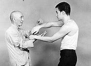 Image result for 18 Hands of Wing Chun