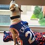 Image result for Air Bud Basketball