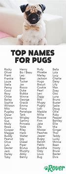 Image result for Pug Dog Names
