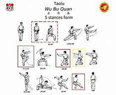 Image result for Dragon Stance Kung Fu Style