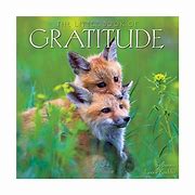 Image result for Gratitude Book
