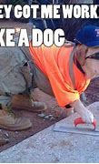 Image result for Concrete Sliders Dog Meme