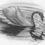 Image result for Drawing with Graphite Pencils