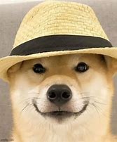 Image result for Baby Doge with Hat Meme