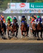 Image result for Virtual Horse Racing Steepledowns