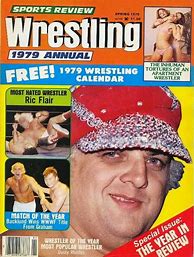 Image result for WWF Wrestling