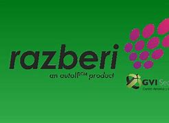 Image result for Logo Razberi