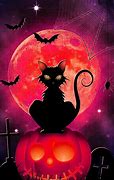 Image result for cat meme halloween