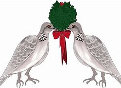 Image result for 12 Days of Christmas Two Turtle Doves