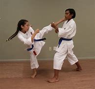 Image result for Karate Class