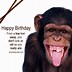 Image result for Monkey Happy Birthday Brother Funny