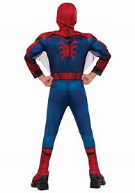 Image result for Spiderman Costumes