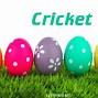 Image result for Cricket Fonts Free