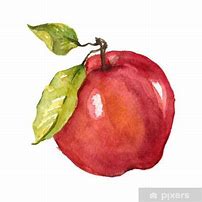 Image result for Watercolor Apple