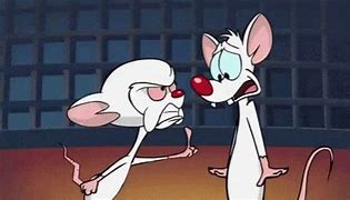 Image result for Evil Meme Pinky and the Brain