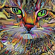 Image result for Crazy Trippy Cat