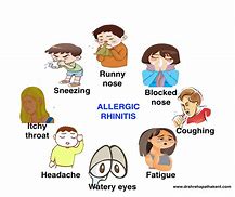Image result for Nasal Allergy