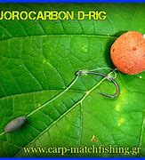 Image result for Pop Up Carp Rigs