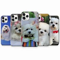 Image result for Maltese Dog Phone Case