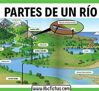 Image result for Partes De Un Rio