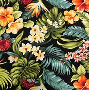 Image result for Tropical iPhone 8 Plus Wallpapers