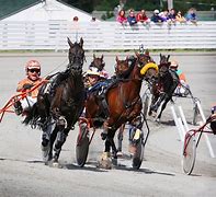 Image result for Harness Racing Drivers Colors