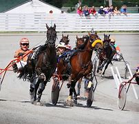 Image result for Harness Racing