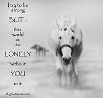 Image result for Horse Poems and Quotes