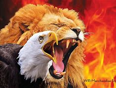 Image result for Lion Mixed with Eagle