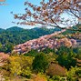 Image result for Japan Most Beautiful Scenic