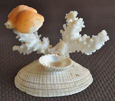 crafts seashell seashell craft to make easy arts and crafts ideas crafts seashell seashell craft to make easy arts and crafts ideas