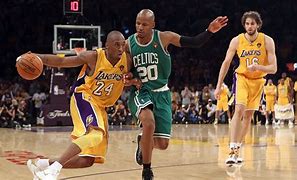 Image result for 2010 NBA Finals