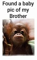 Image result for Baby Brother Meme