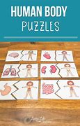 Image result for Life-Size Body Puzzle