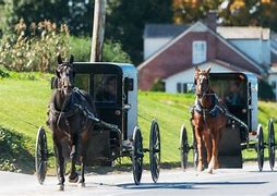 Image result for Best Amish Places to Visit