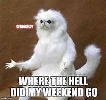 Image result for Where Did the Weekend Go Meme