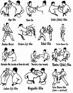 Image result for Karate Moves and Techniques