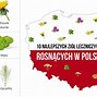 Image result for co_to_za_ziołolecznictwo