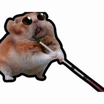 Image result for Hamster with Drip Air Pods Meme