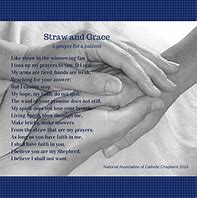 Image result for Prayer for World Day of the Sick