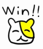 Image result for Winning Cat Meme