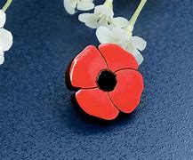 Image result for Remembrance Day Poppy Pin