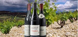 Image result for vinsobres