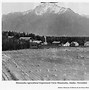 Image result for Alaska Farming