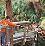 Image result for Largest Zoo in the World