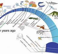 Image result for Timeline of Evolution Chart